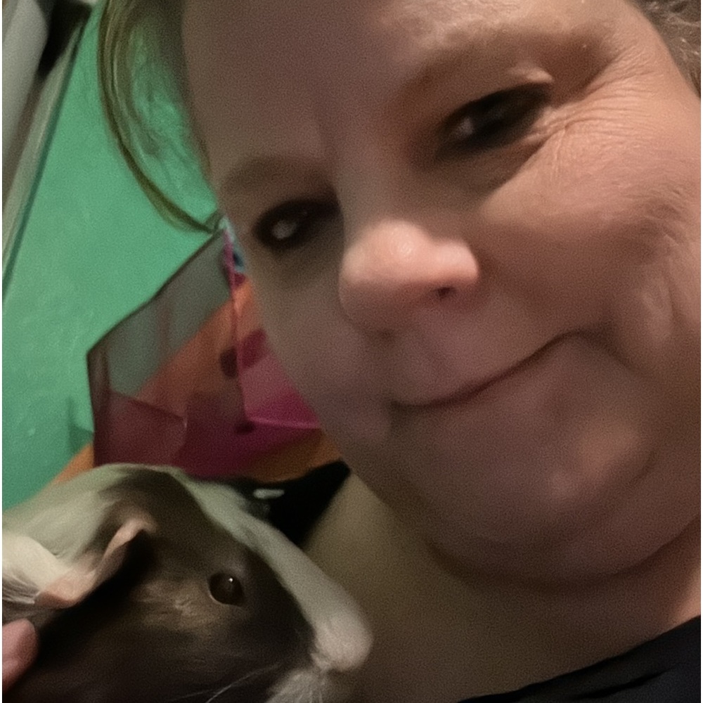 Meet your Posher, Shelley